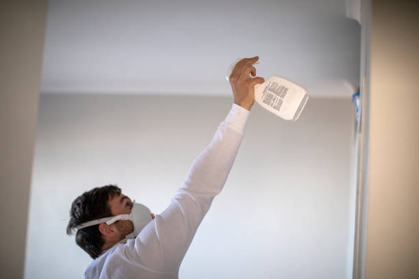 Best Mold Remediation for Schools in Graham, WA