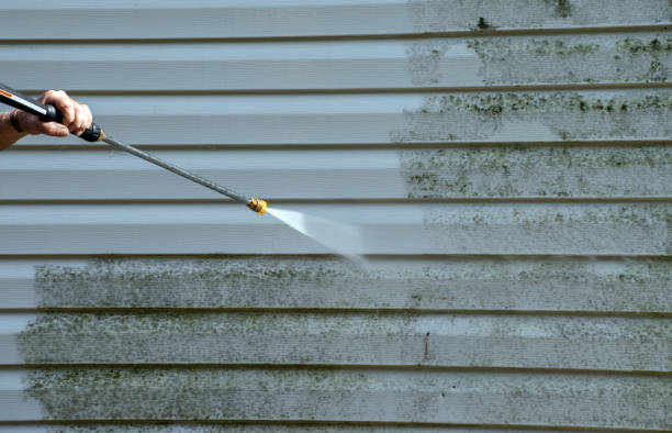 Best Localized Mold Remediation (e.g., coastal areas, humid climates) in Graham, WA