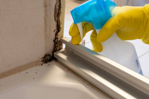 Best Mold Remediation for Specific Building Types in Graham, WA