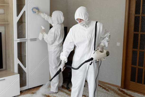 Best Mold Testing and Inspection Services in Graham, WA